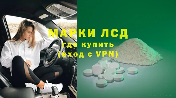 трава Бородино