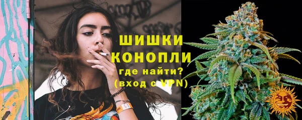 трава Бородино