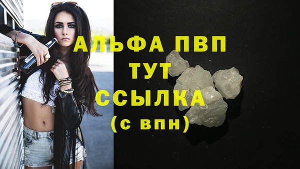 трава Бородино