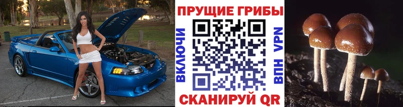 Псилоцибиновые грибы GOLDEN TEACHER  ОМГ ОМГ tor  Можайск 